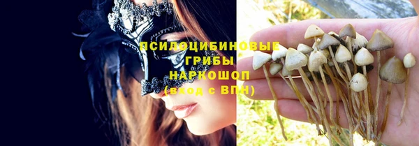 PSILOCYBIN Алзамай
