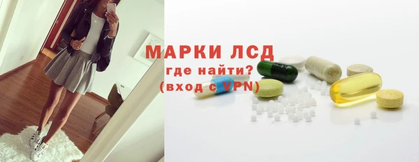 PSILOCYBIN Алзамай