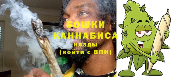 PSILOCYBIN Алзамай