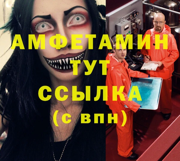 PSILOCYBIN Алзамай