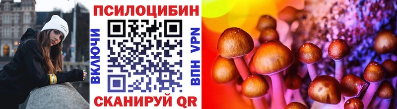 магазин продажи   мега вход  Галлюциногенные грибы Psilocybine cubensis  Сельцо 